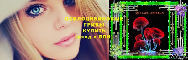 MDMA Переславль-Залесский