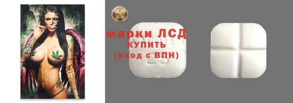 ГАЛЛЮЦИНОГЕННЫЕ ГРИБЫ Строитель