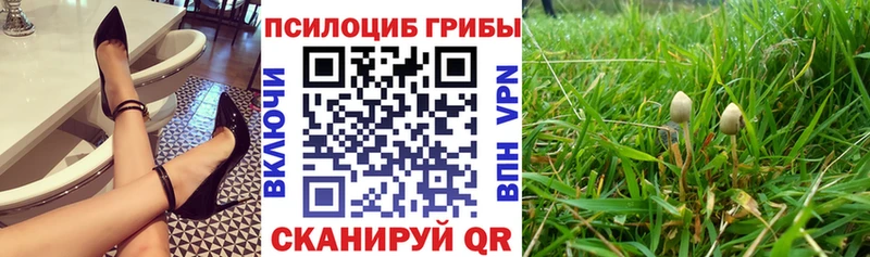 закладки  Островной  это клад  Псилоцибиновые грибы ЛСД 