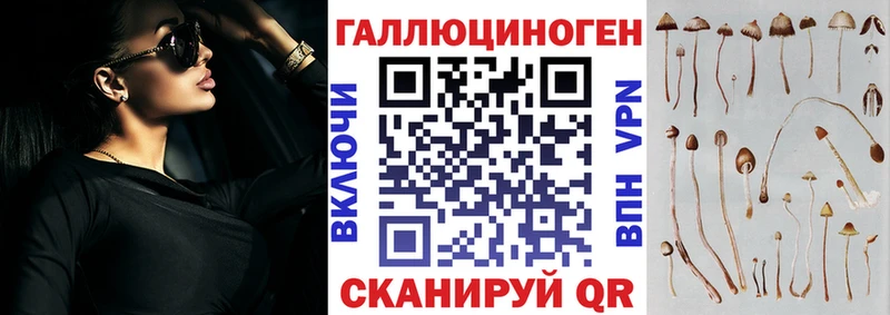 Псилоцибиновые грибы Cubensis Островной
